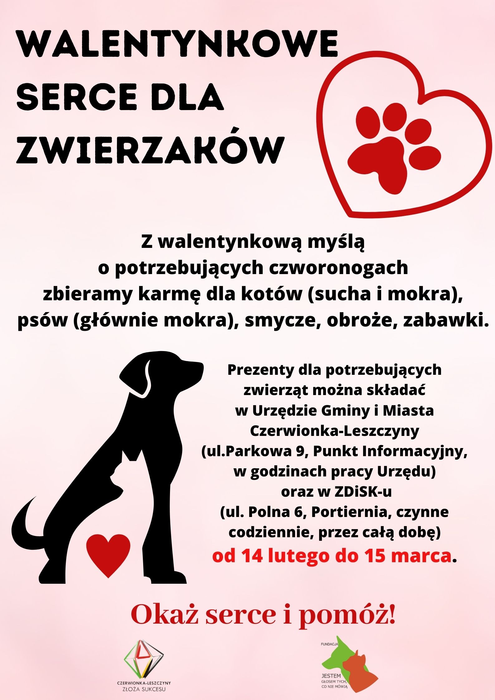Walentynkowe serce dla zwierzaków